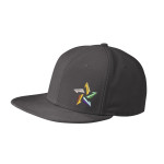 NE402 New Era Original Fit Flat Bill Snapback Cap